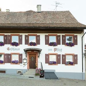 Hotel Landgasthof zum Pflug